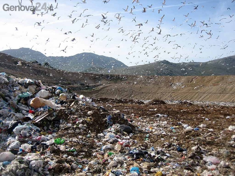Discarica Pitelli